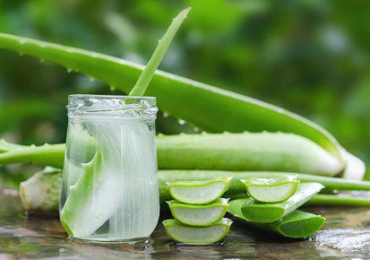 Aloe Vera & Oats Full Size